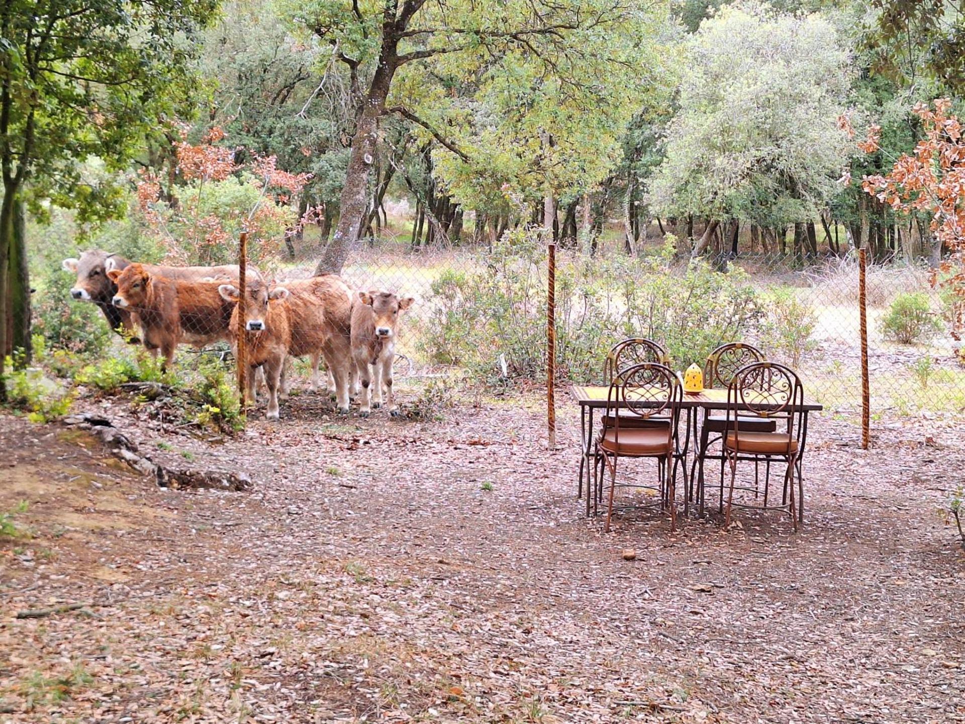 Casa Natura Montseny Barcelona Luaran gambar
